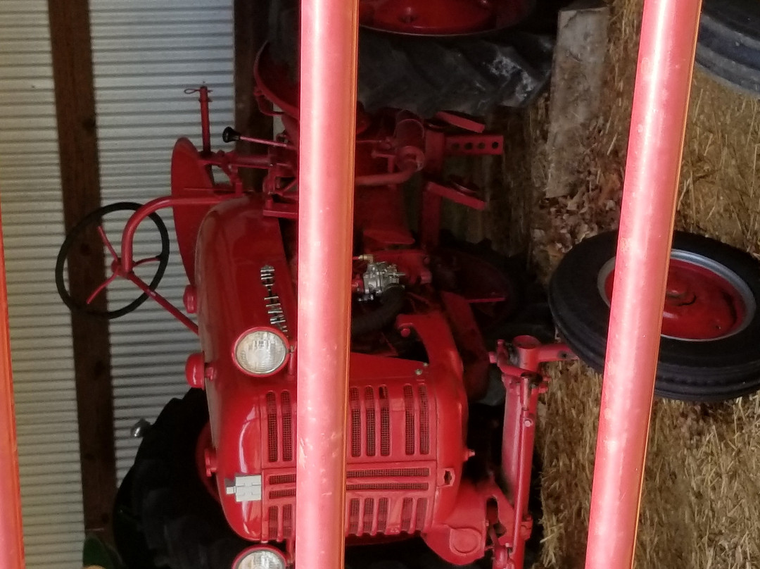 Kinder Farm Park-Millersville必去景点