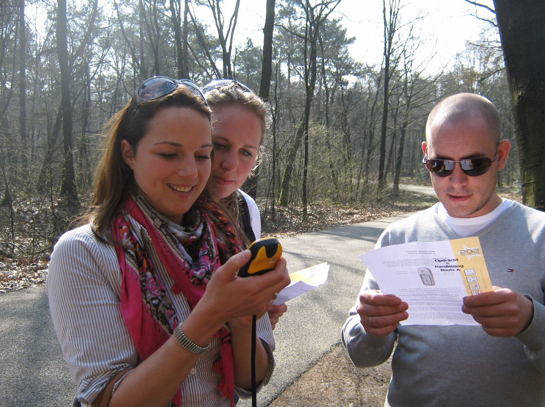 Veluwe Specialist Hoenderloo景点图片