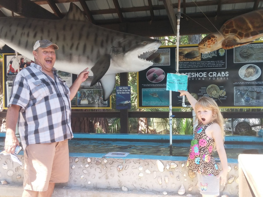 Gulf Specimen Marine Lab & Aquarium-Panacea必去景点