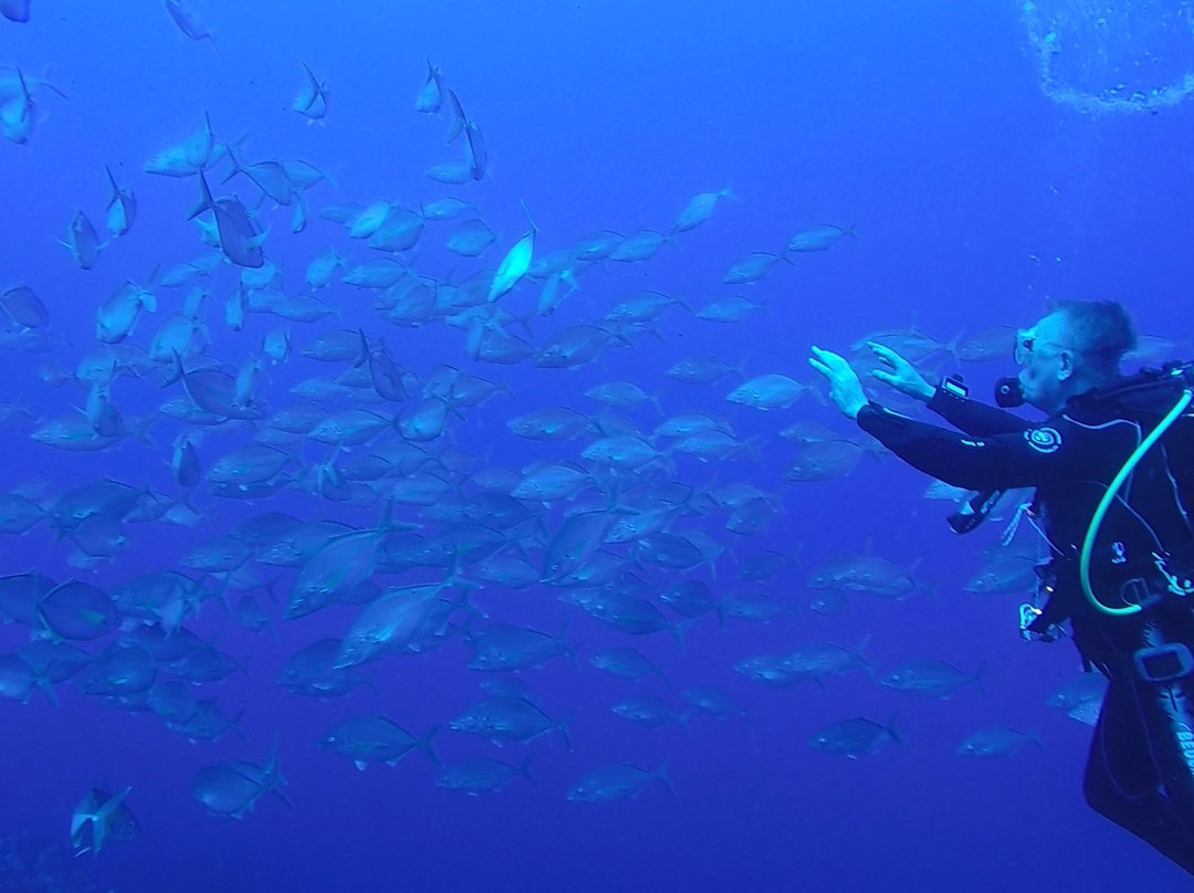 Flores Dive Center-Faja Grande必去景点