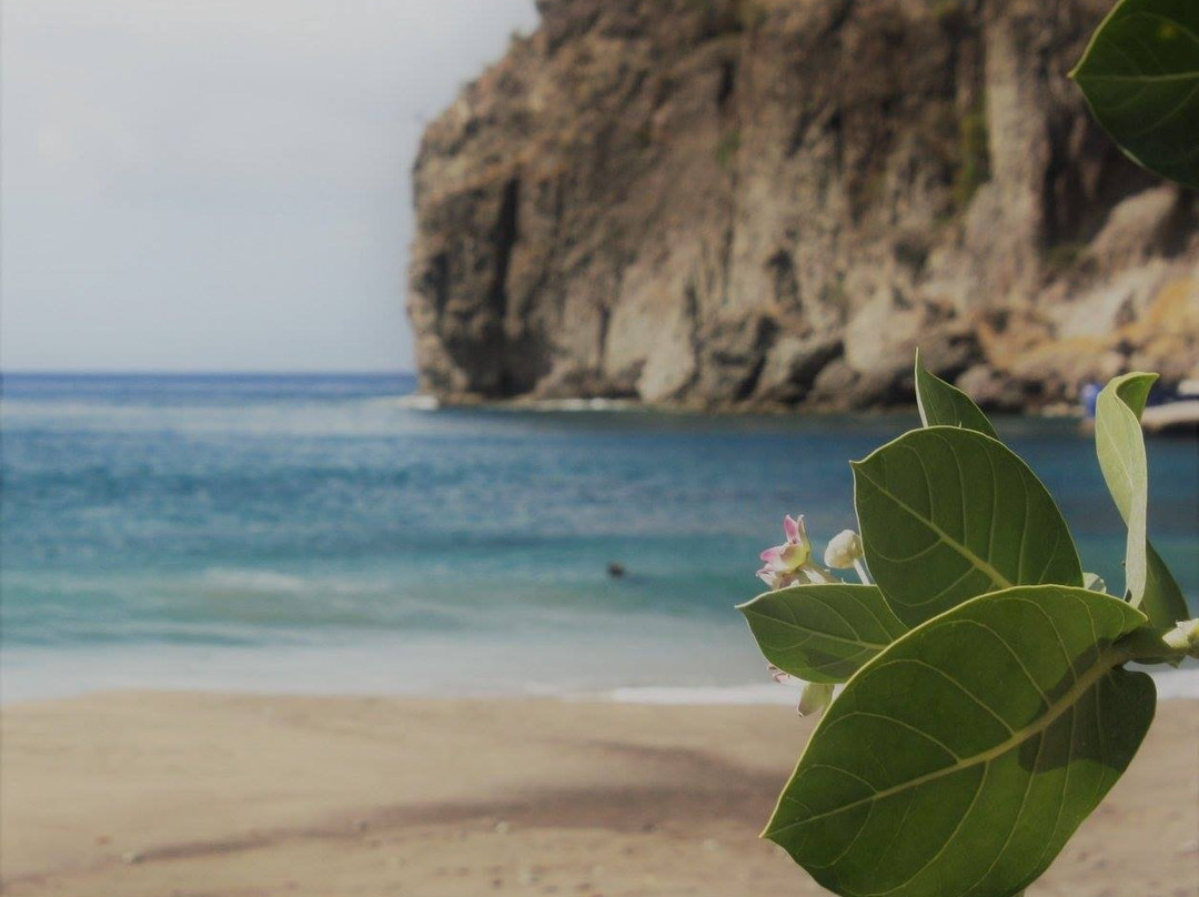 Little Bay Beach-Little Bay必去景点