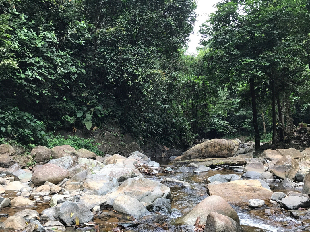 Siete Cascadas-La Mana必去景点