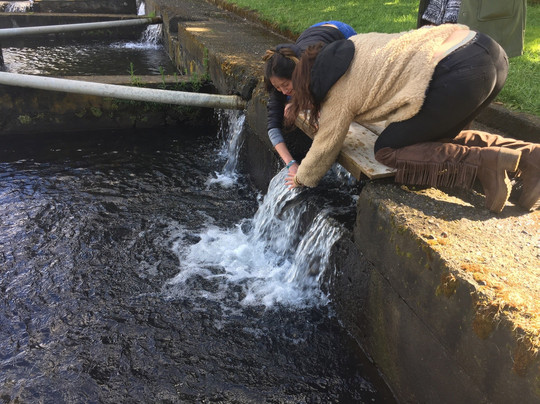 Parque Isabel Riquelme-Lautaro必去景点