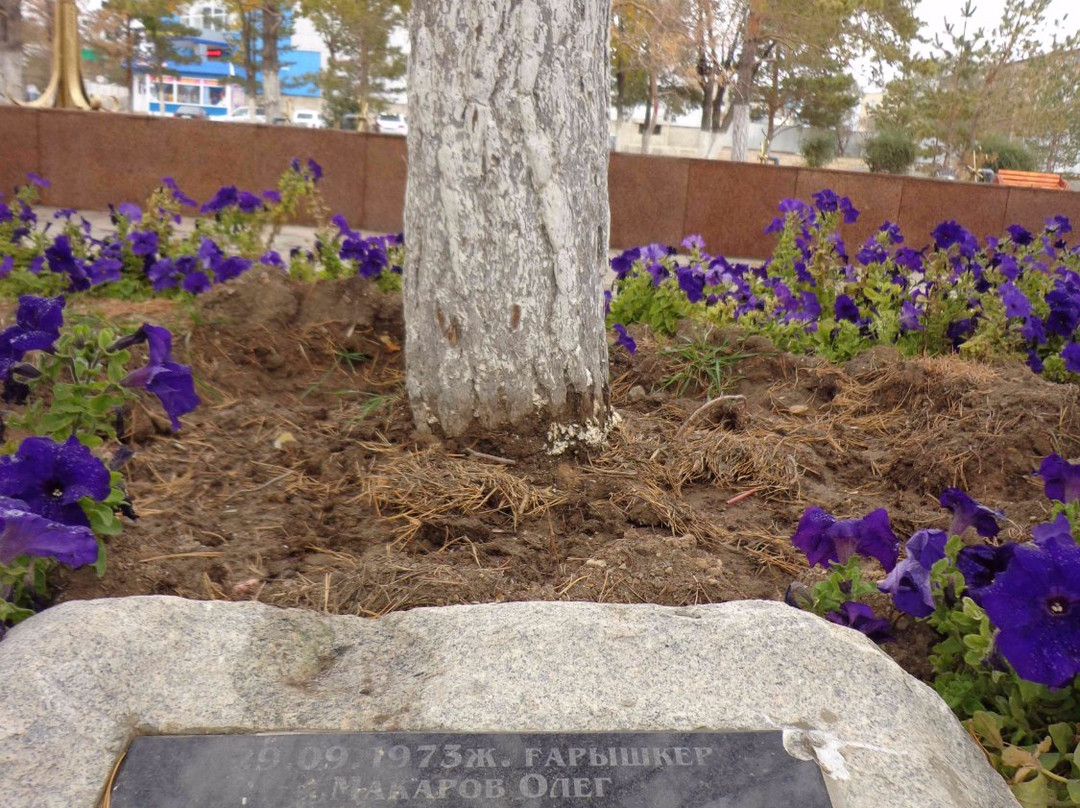 Alley of Pines Planted by Cosmonauts-Zhezkazgan必去景点