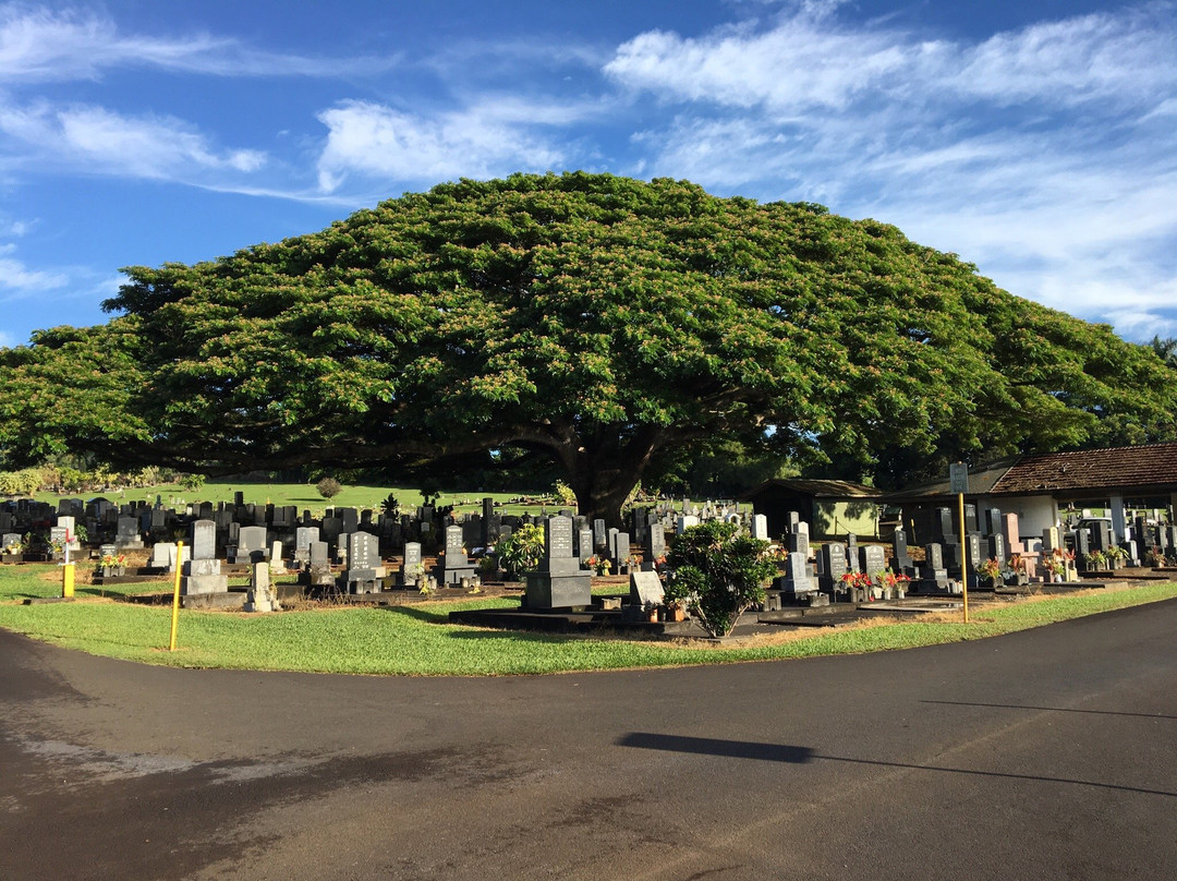 Alae Cemetery-希洛必去景点