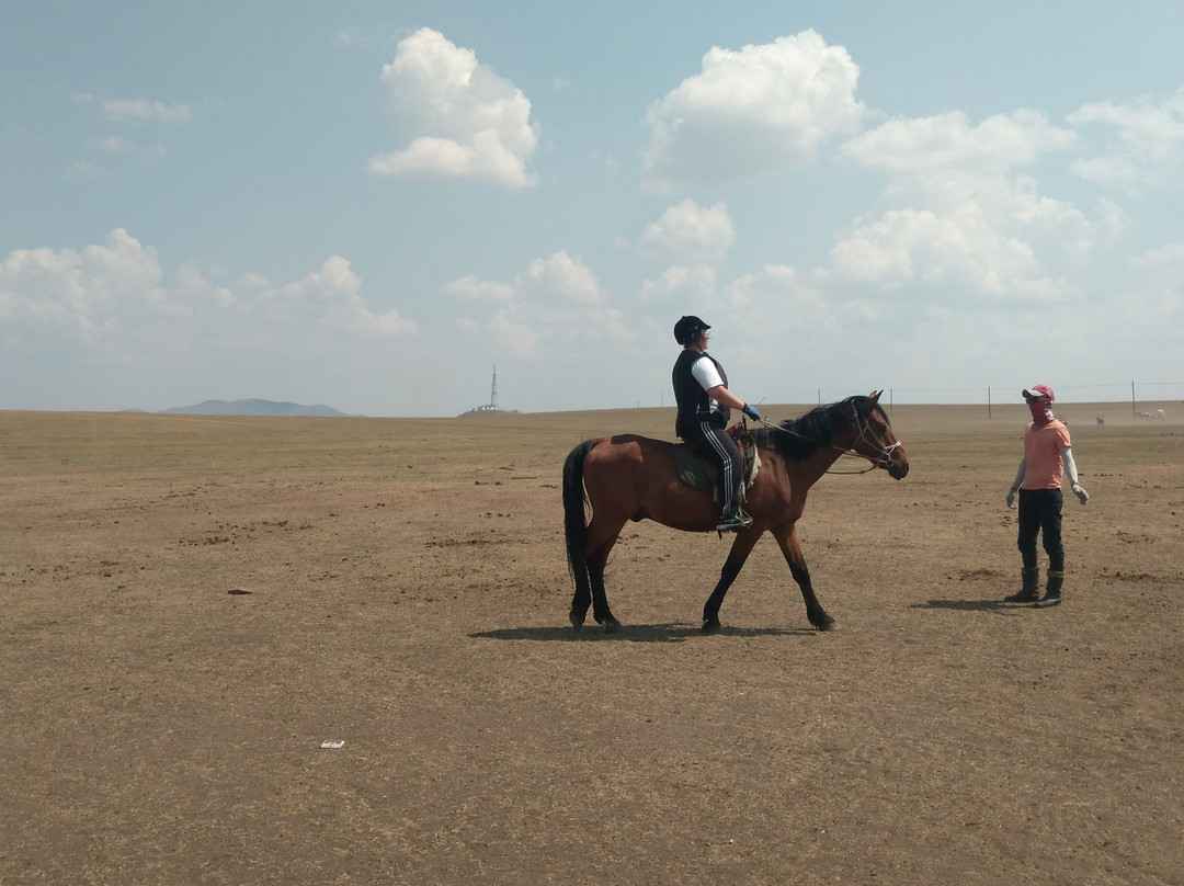 莫尔道嘎国家森林公园-呼伦贝尔市必去景点