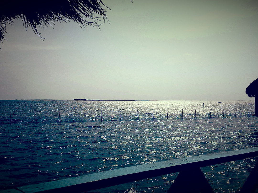 Keta Lagoon Resort主图