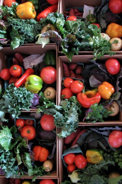 Coveyou Scenic Farm-皮托斯基必去景点