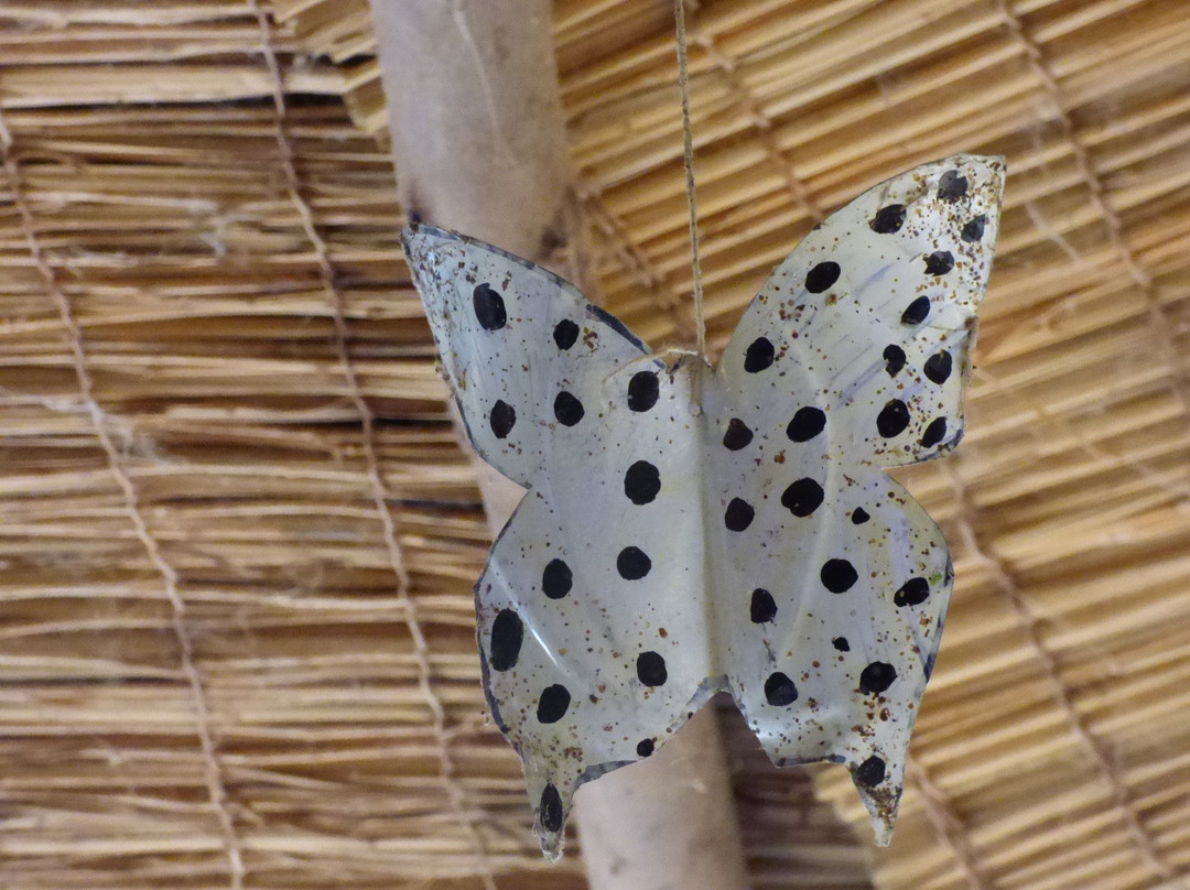 Ferme Youyou-尼亚美必去景点