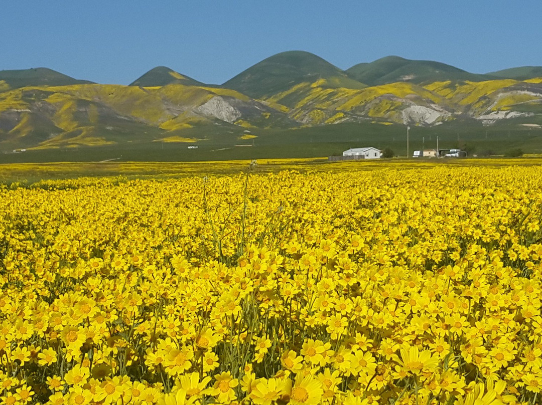 Soda Lake-圣路易斯-奥比斯波必去景点