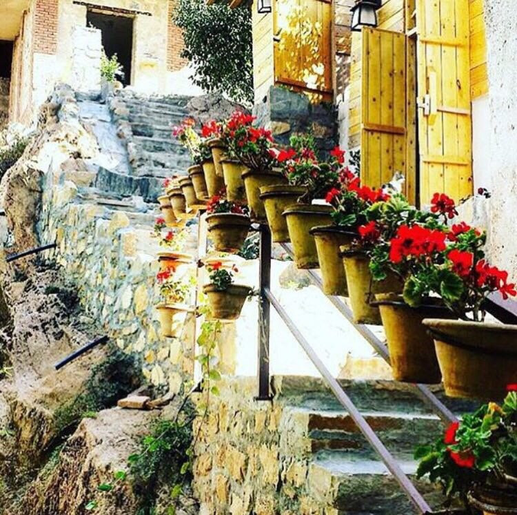 Ardeshiri-ye Bala餐馆和美食-Gileva