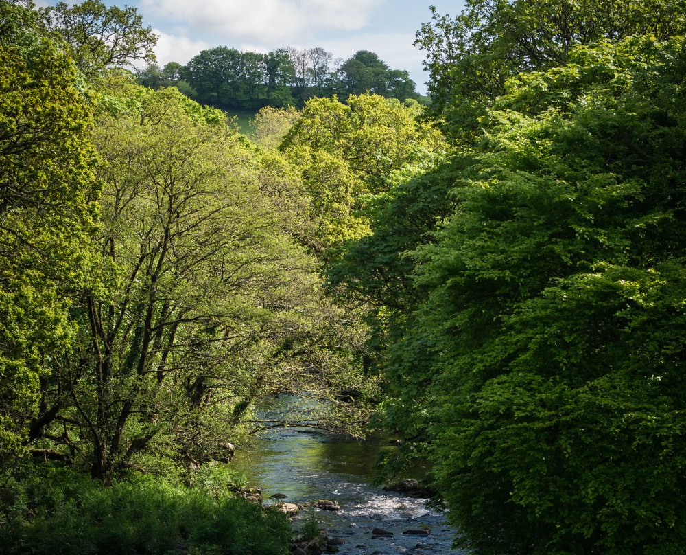 Devon Cycling Holidays-埃克塞特必去景点