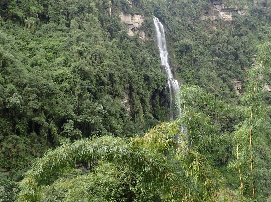 Colombia Rico Tours景点图片