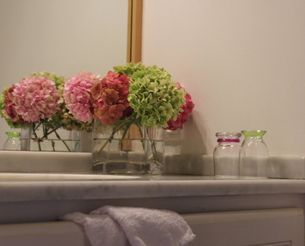 La Bastide des Tremieres主图