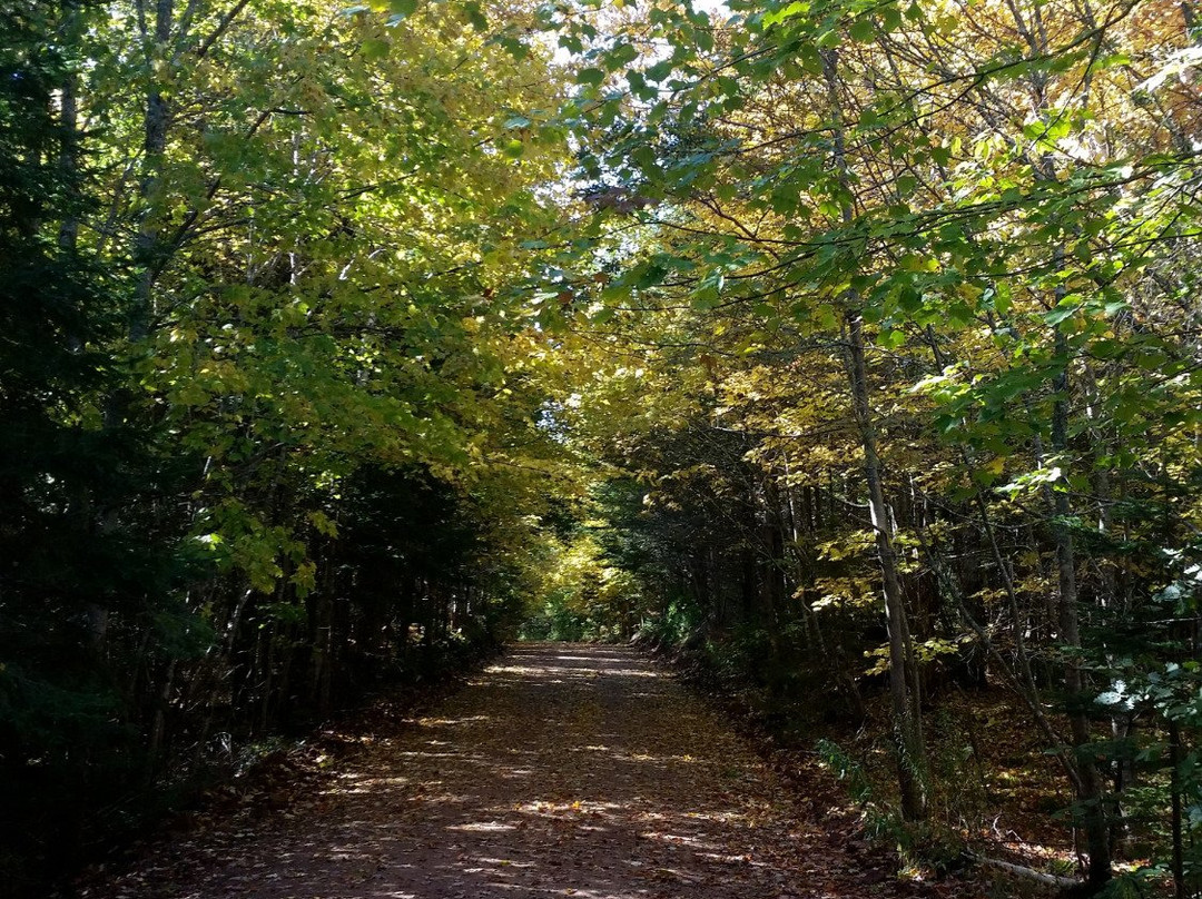 Sir Andrew Macphail Homestead-Orwell必去景点