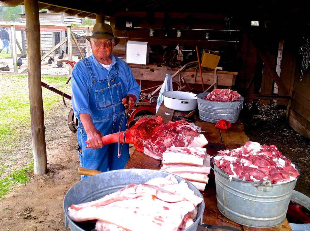 L.W.Paul Living History Farm景点图片