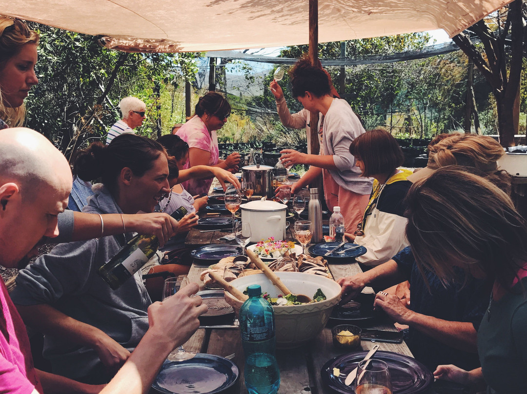Veld and Sea-Cape Point必去景点