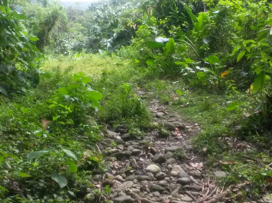 Tropical Video Tours-安东尼奥港必去景点