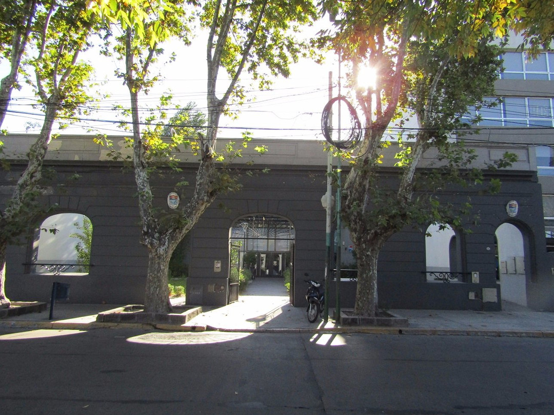 Teatro Municipal景点图片