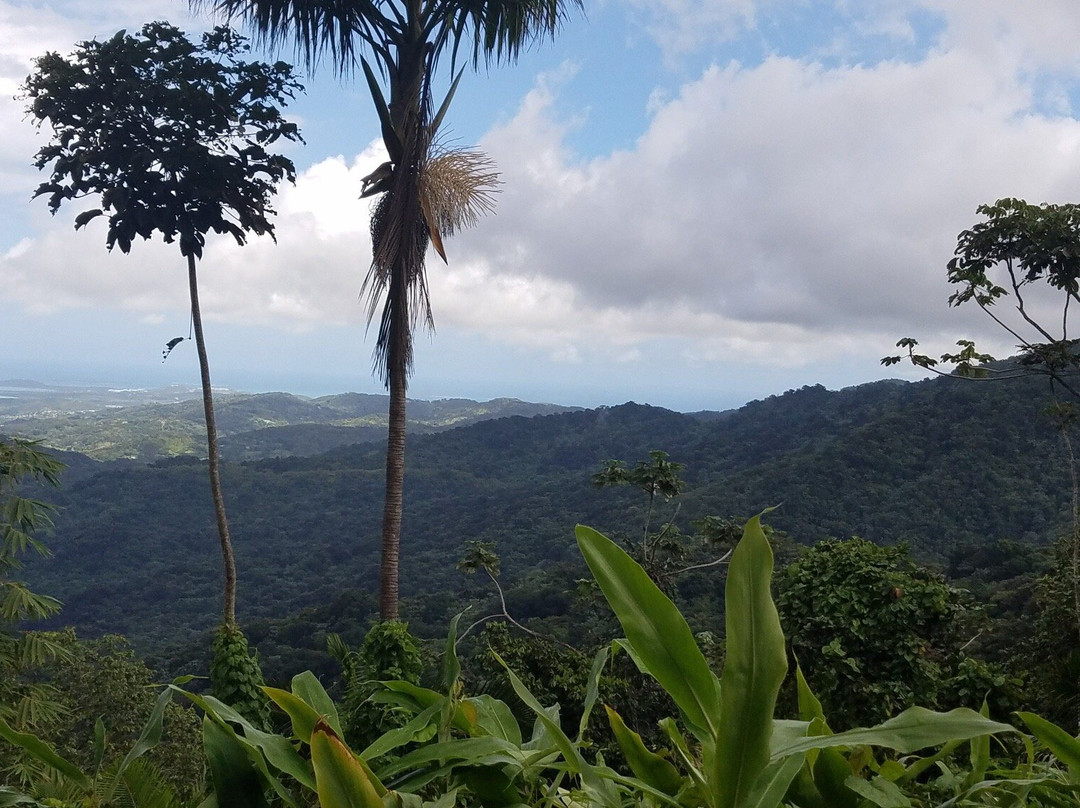 Create Adventure-圣胡安必去景点