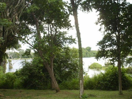 Parque Zoologico Loefling景点图片