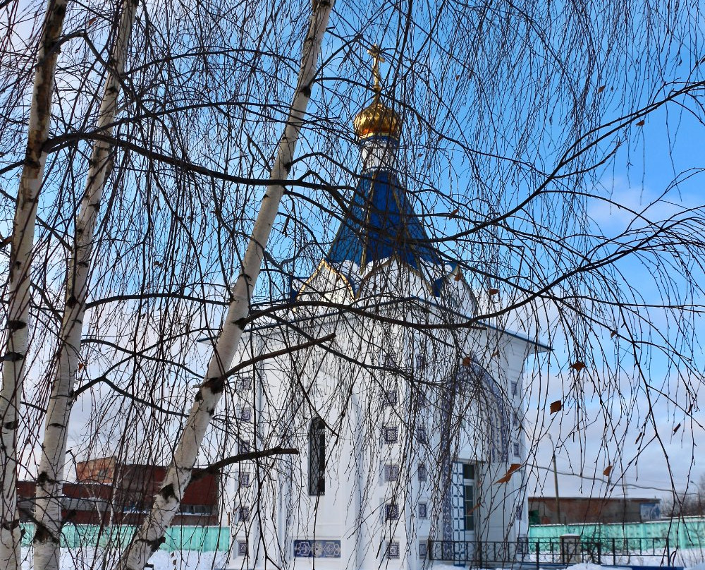 Chapel of Icon of Mother of God Vospitaniye景点图片