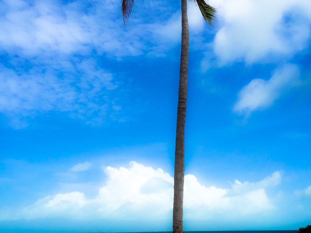 Plantation Key Fitness-伊斯拉摩拉达必去景点