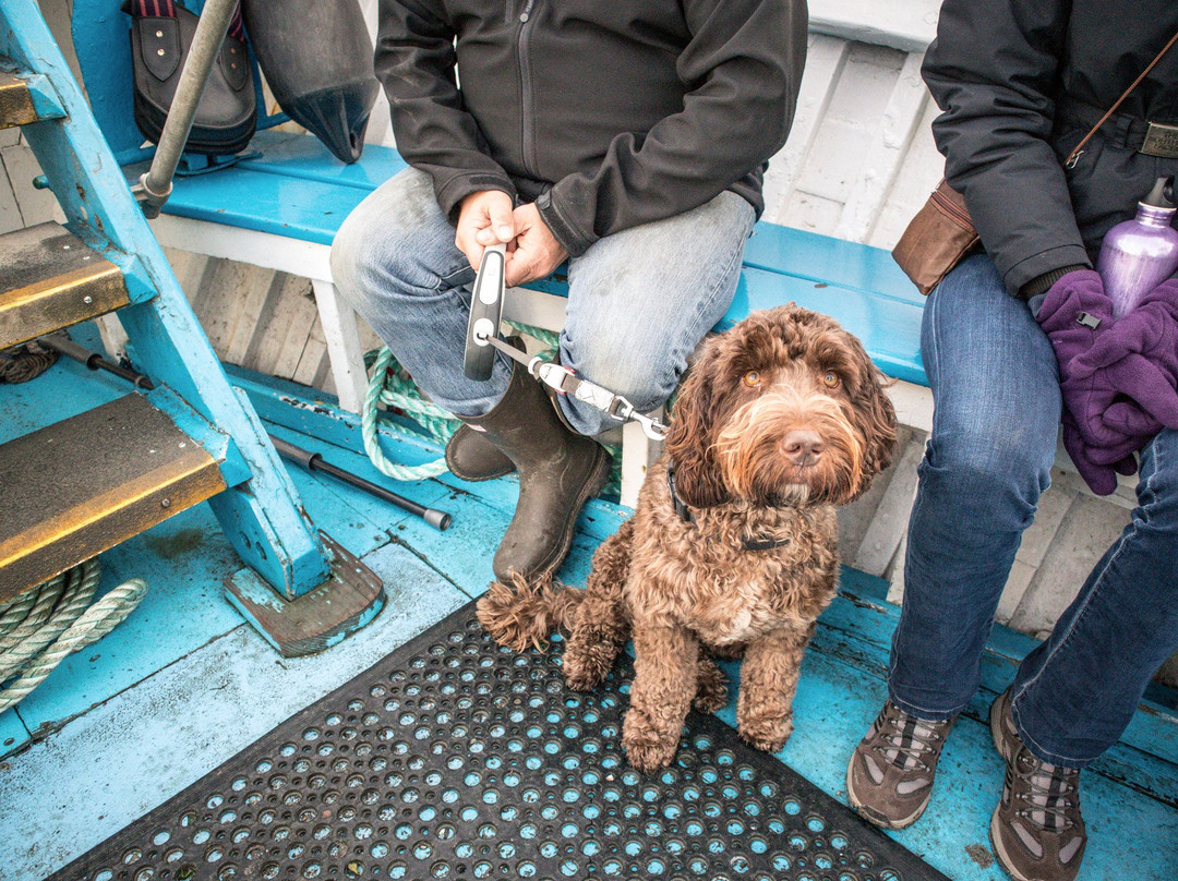 Cremyll Ferry to Kingsand & Cawsand-普利茅斯必去景点