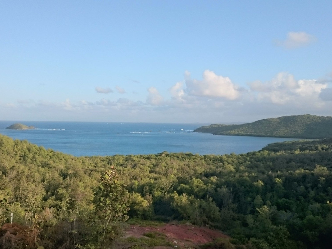 Surf Up Martinique-La Trinite必去景点