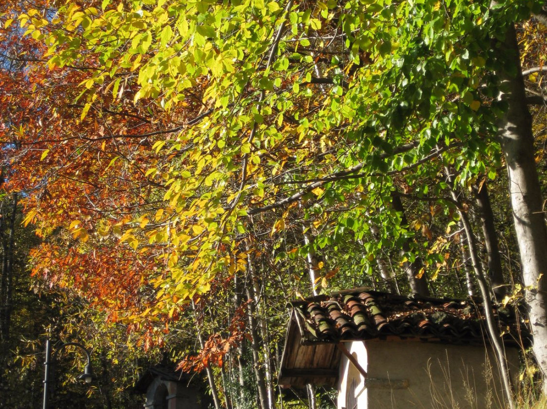 Santuario della Brughiera景点图片