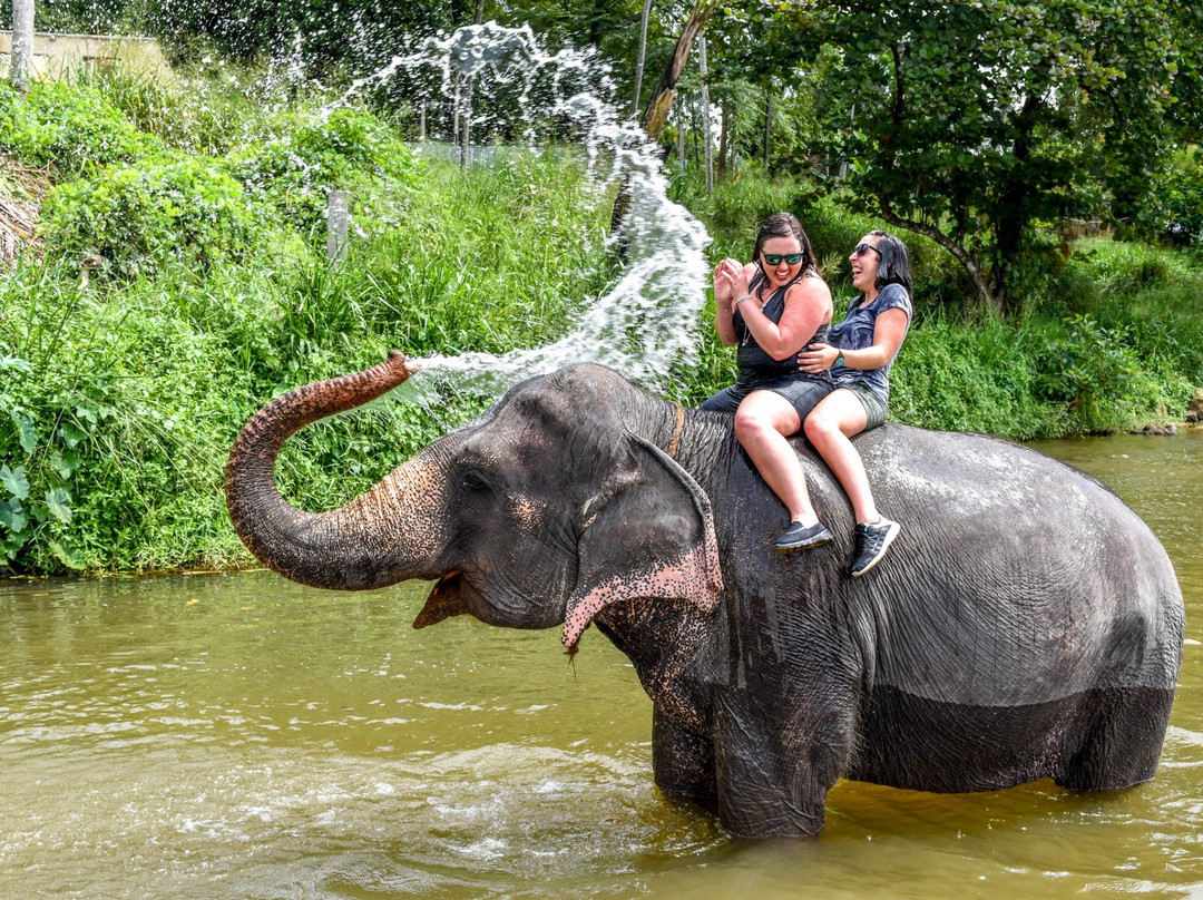 Ceylon Reise ( Travelasia Vacations)-康提必去景点