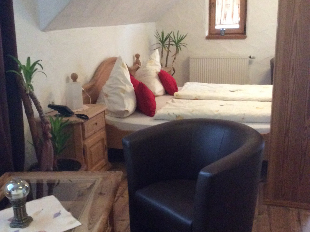 Hotel-Hauensteiner-Hof主图