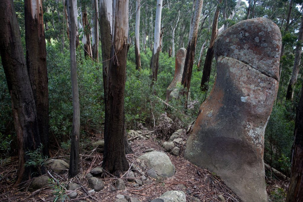Gulaga National Park景点图片
