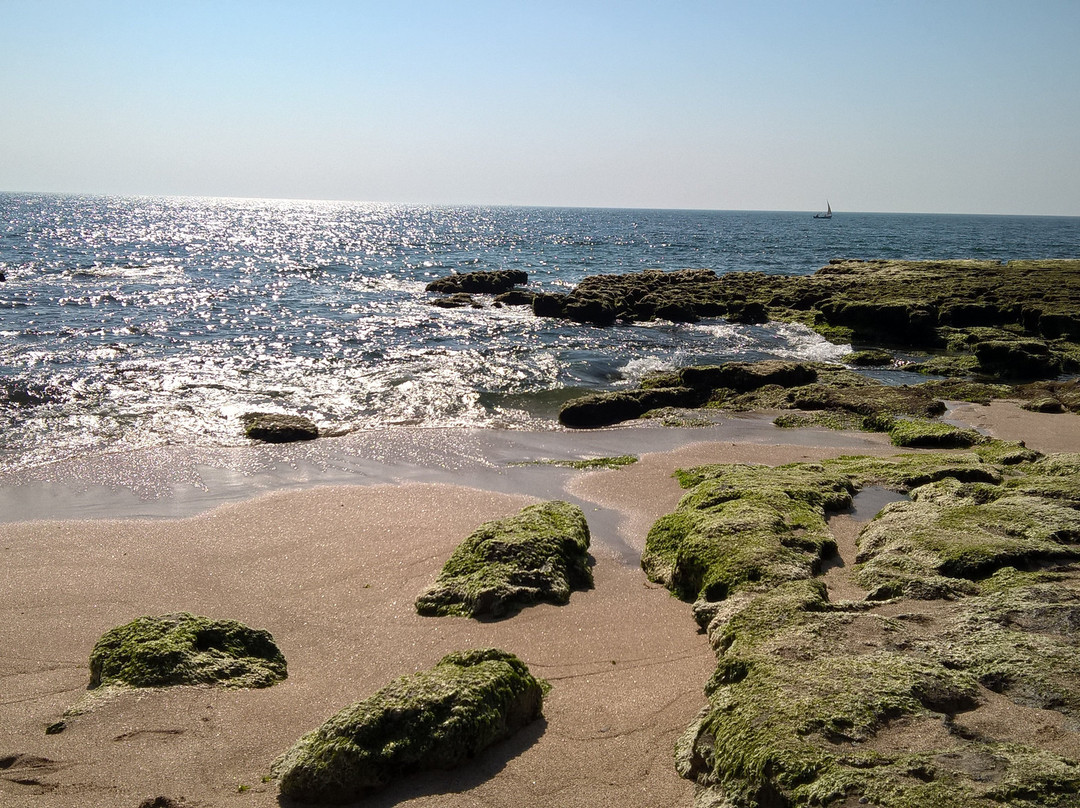 Chorwad Beach景点图片