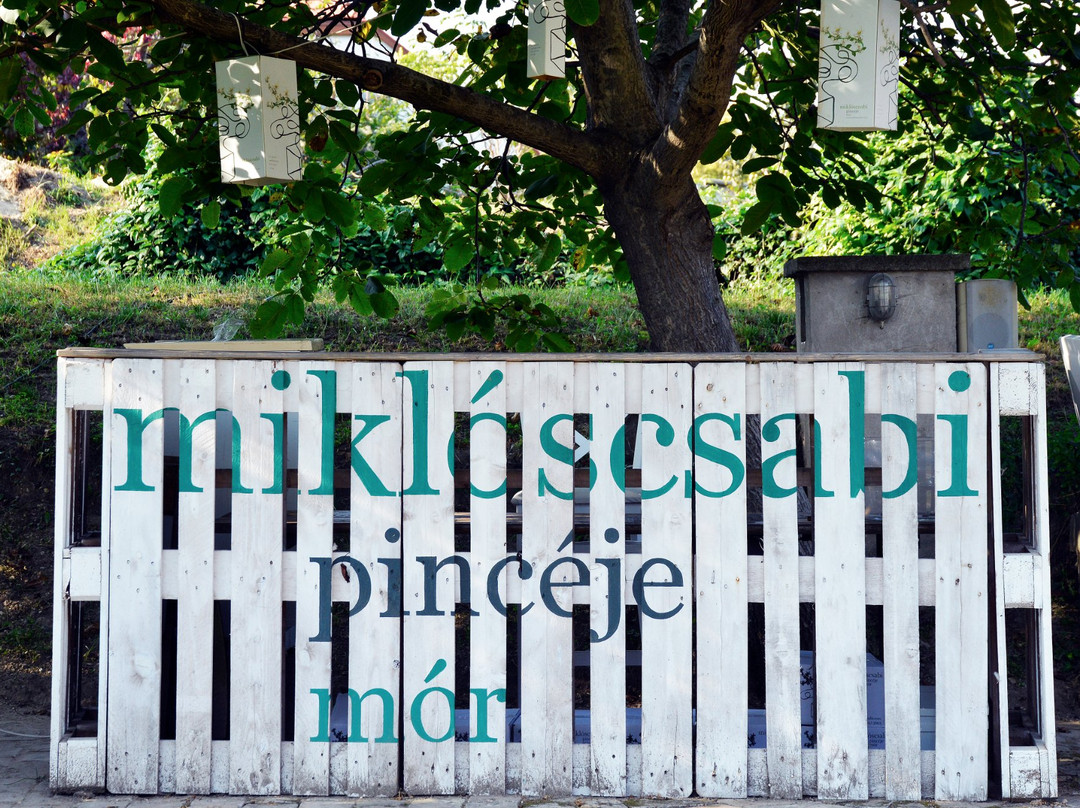 Csabi Miklós' Cellar景点图片