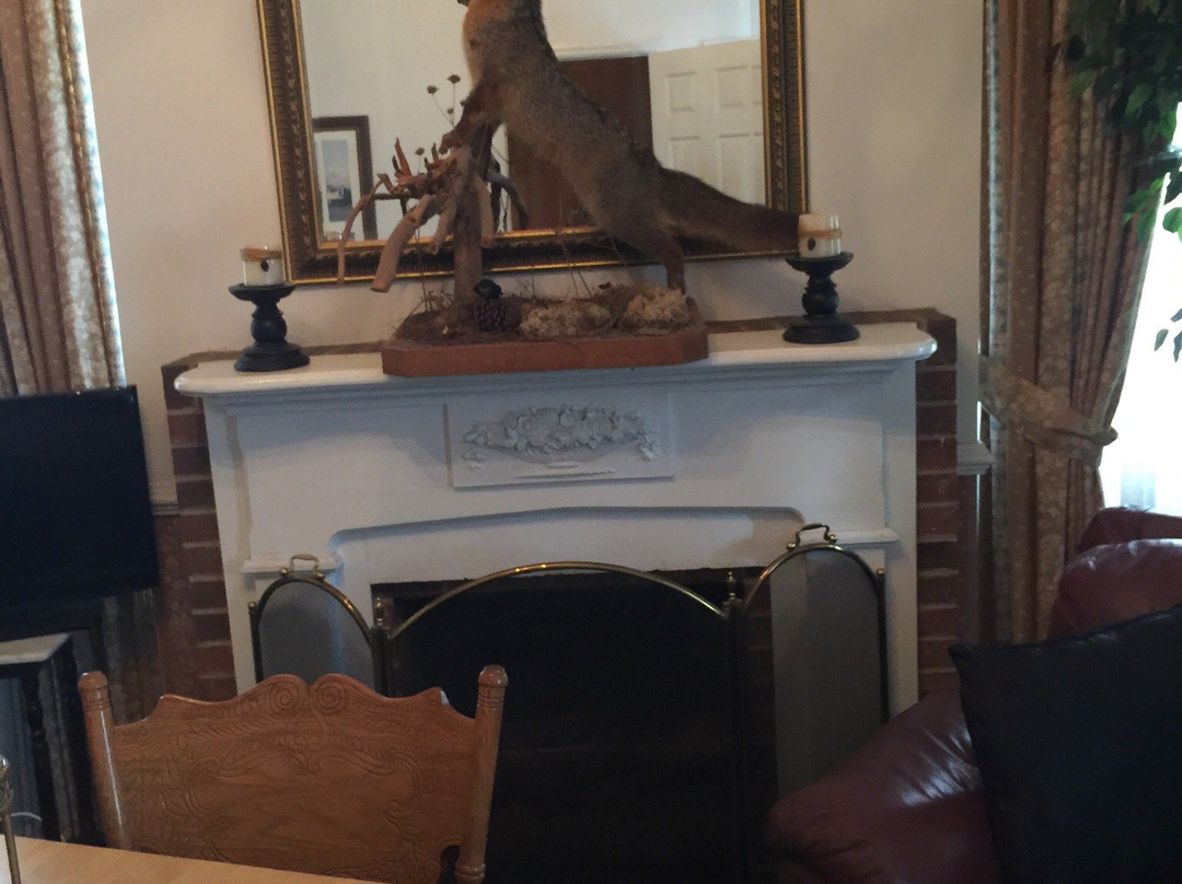 Fox's Lair-奥古斯塔必去景点