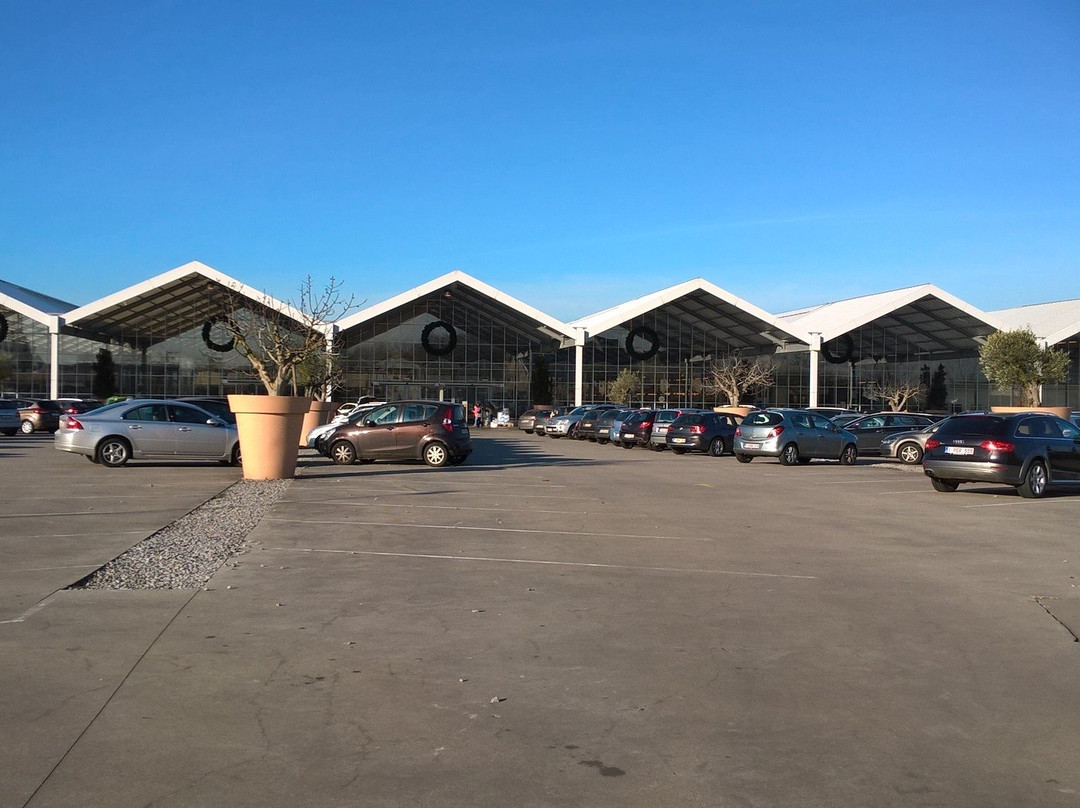 Kontich旅游攻略图片