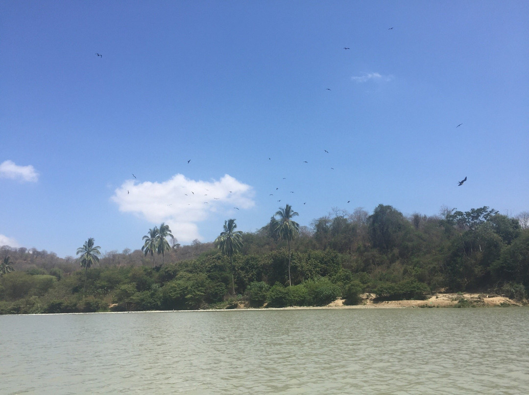 Cerros de Amotape National Park-Tumbes必去景点