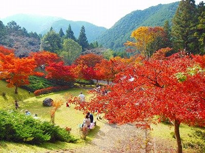 Kougenji Temple-丹波市必去景点