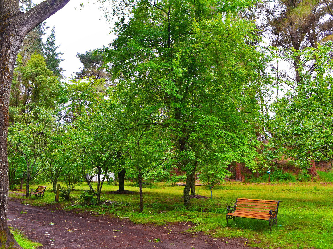 萨尔瓦多吕康旅馆主图