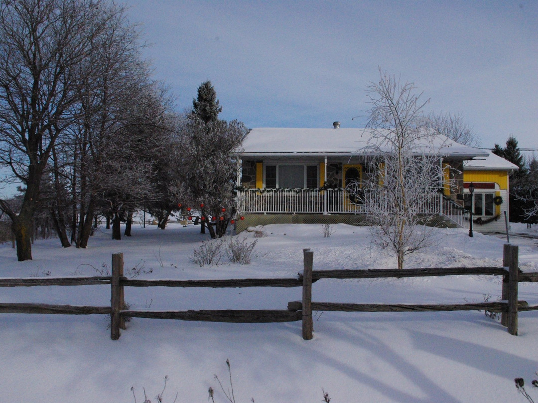 Atelier Galerie Anne Drouin Peinture & Pension主图