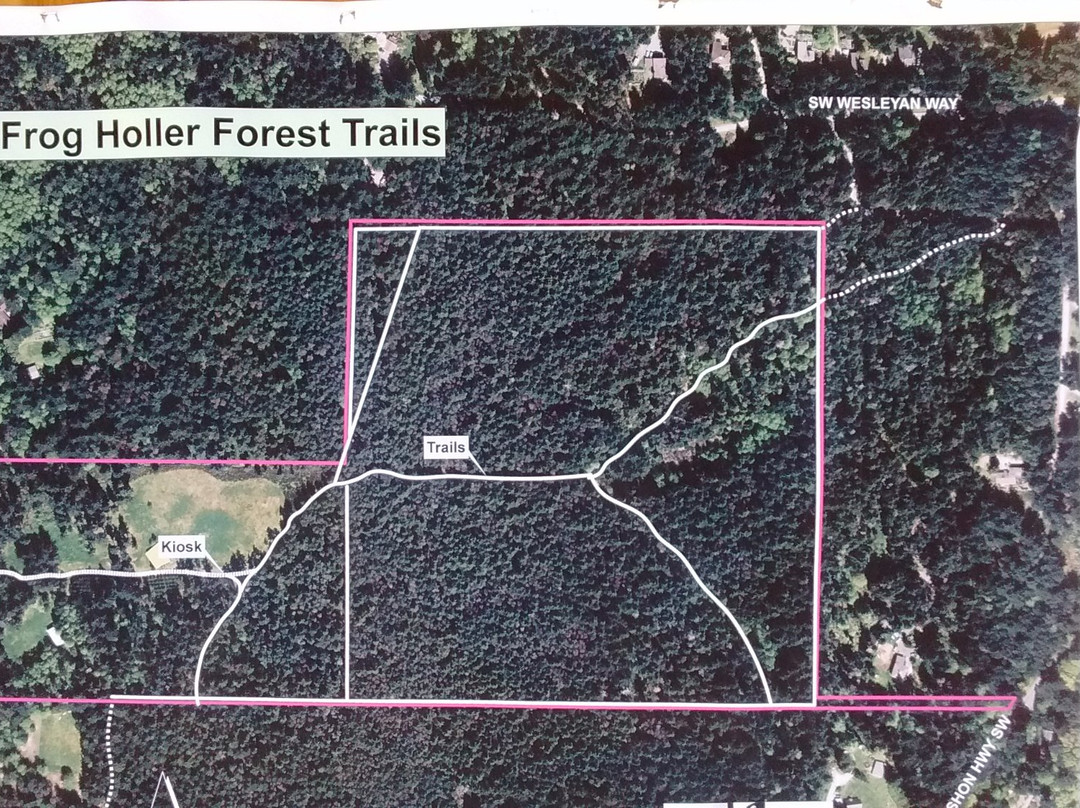 Frog Holler Forest-Vashon必去景点