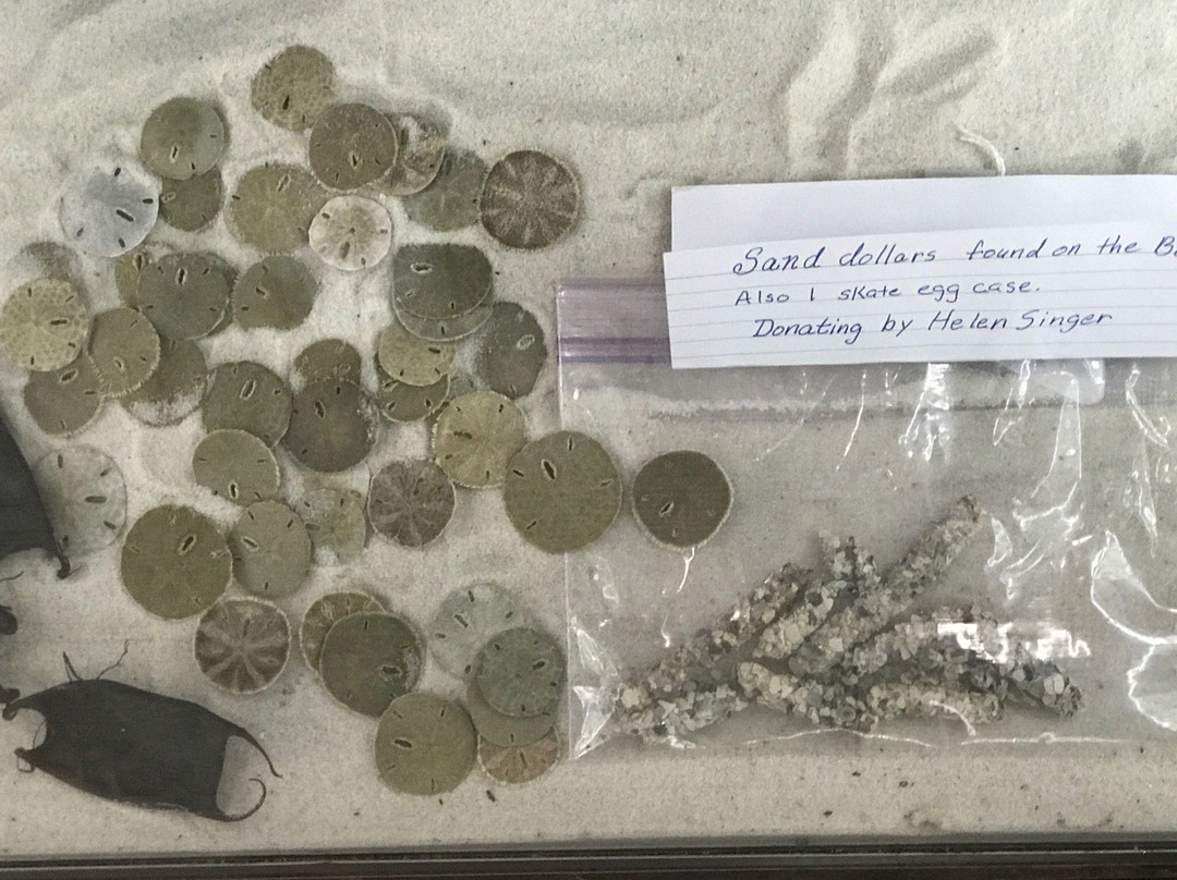 Indian & Sea Museum-橙色海湾必去景点