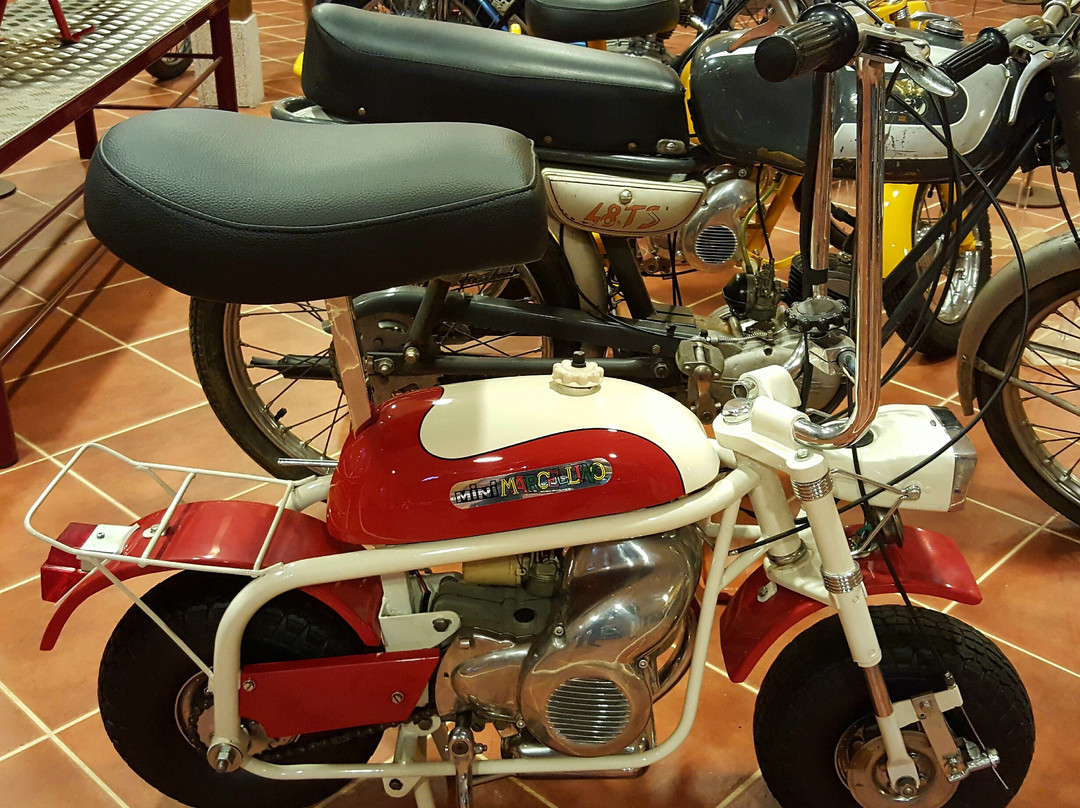 Museo de Motos Juan Antonio Garcia景点图片