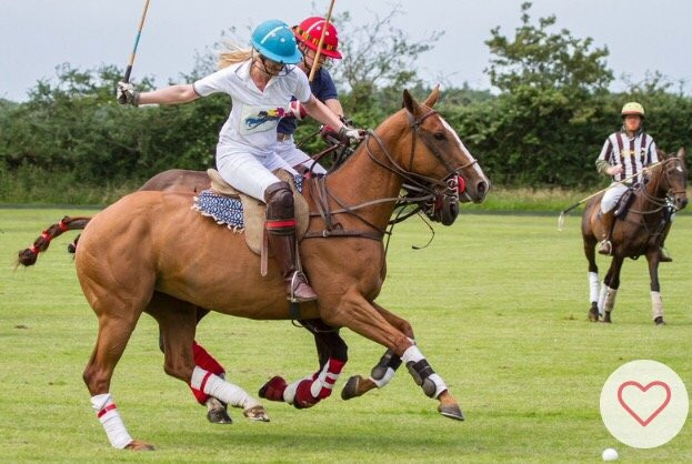 Bluey's Polo Club景点图片