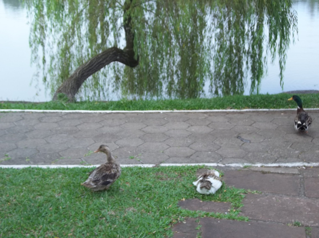 Armenia Lake-Taquari必去景点