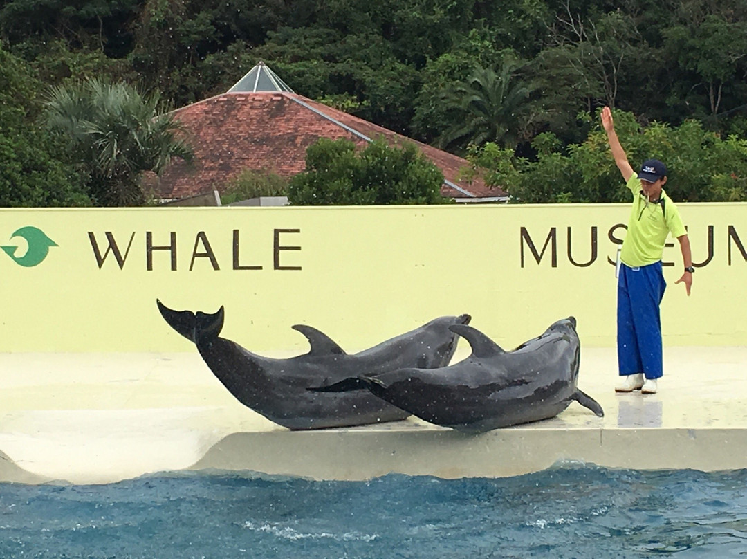 Taiji Whale Museum景点图片