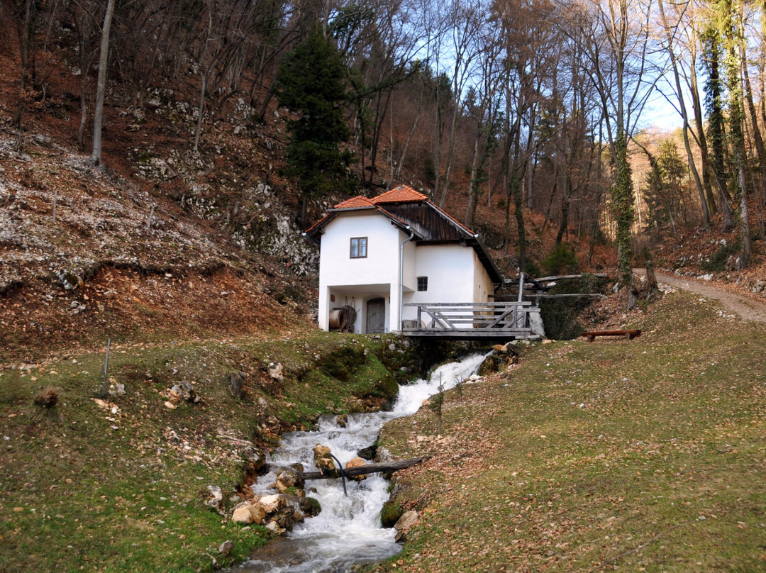 The Vovk Mill-Dobrna必去景点