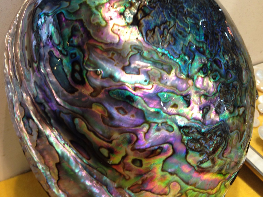 Plaza Gral Artigas-埃斯特角城必去景点