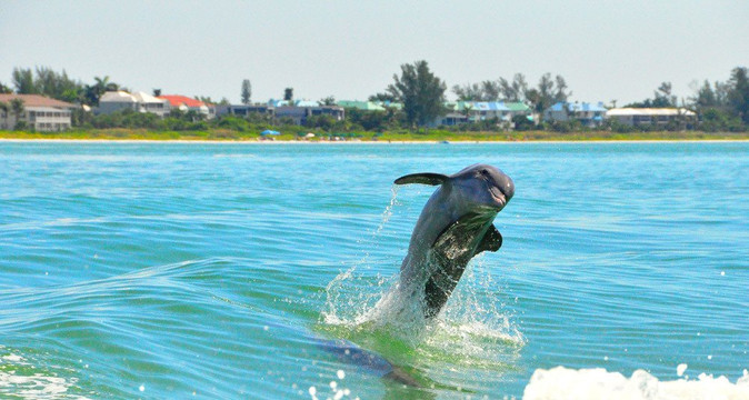 Image Yacht Charters-迈尔斯堡海滩必去景点